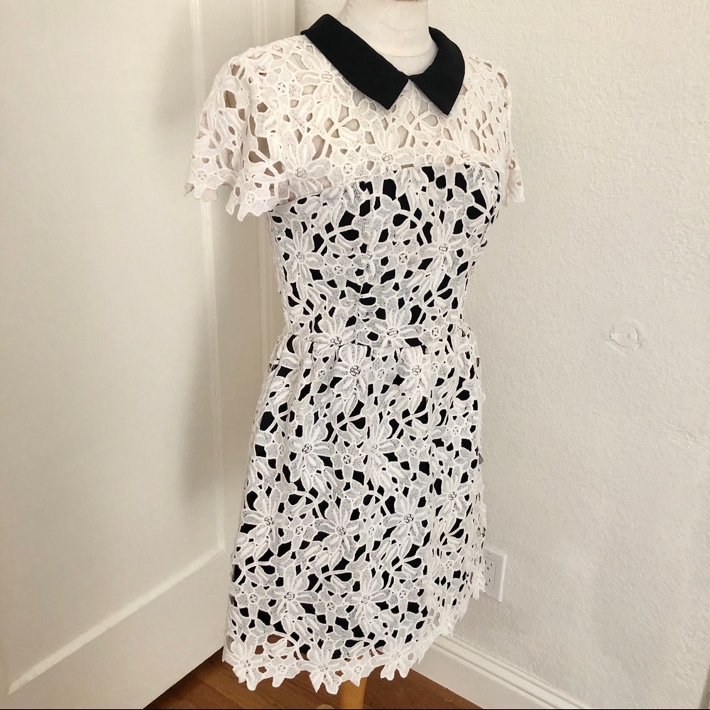 EUC Aqua Capsule Lace Dress w/Collar Size M